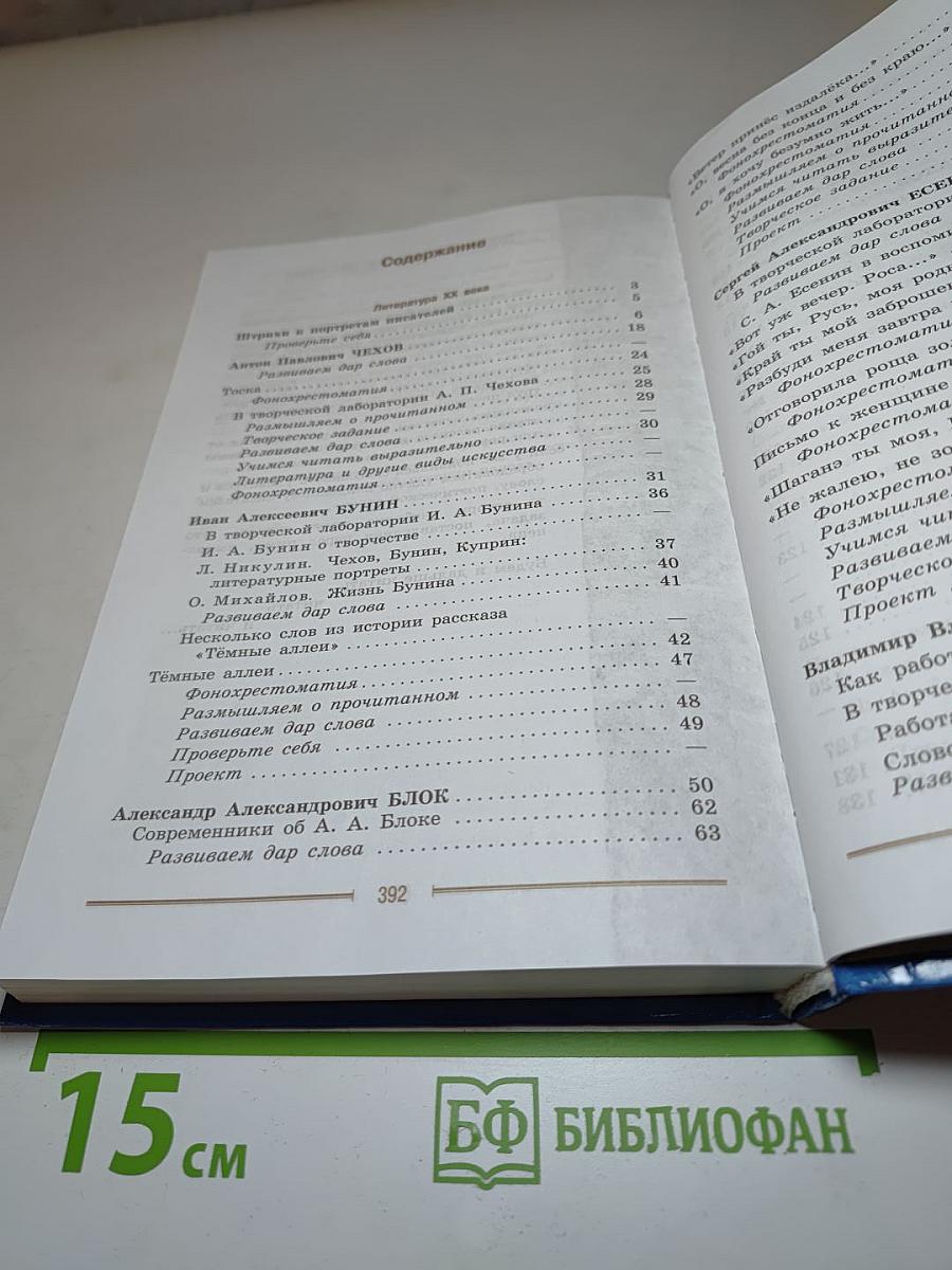 Литература. 9 класс. Часть 2