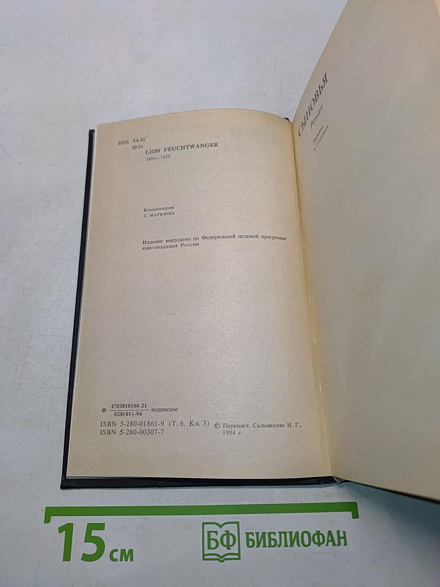 Собрание сочинений. Том шестой. Книга третья. Сыновья. Настанет день