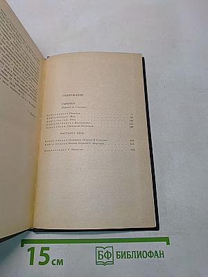 Собрание сочинений. Том шестой. Книга третья. Сыновья. Настанет день