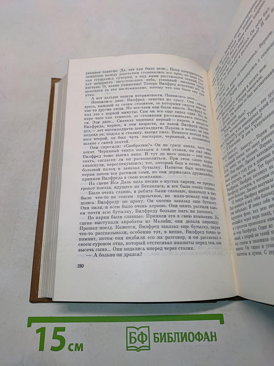Юхан Борген. Маленький лорд. Темные источники. Теперь ему не уйти