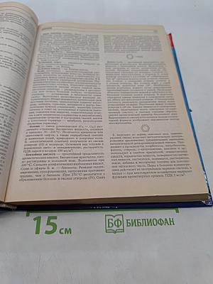 Большая школьная энциклопедия. Точные науки. 5-11 классы