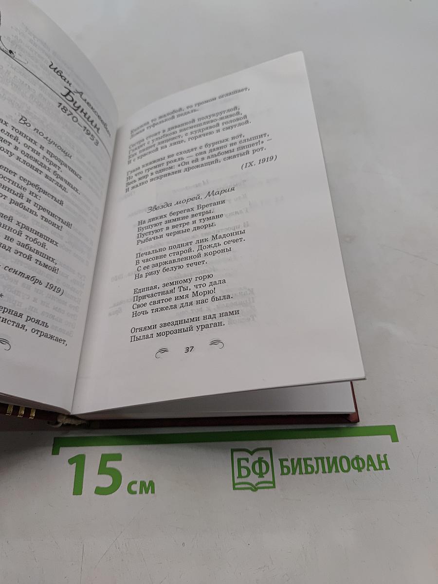 Эмигранты. Поэзия русского зарубежья
