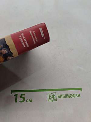 Василий Теркин. Теркин на том свете