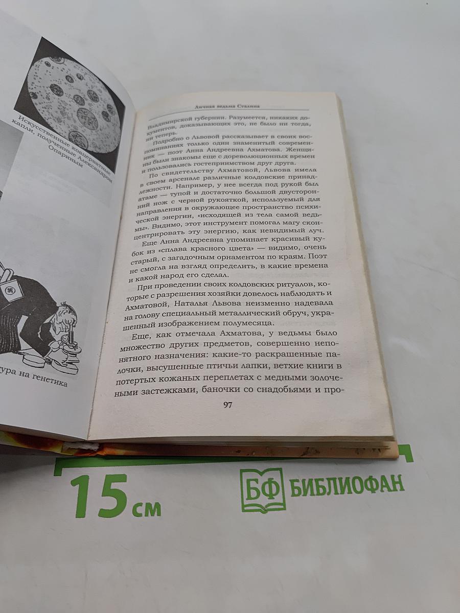 Оккультный Сталин. Бесы и демоны советского тирана
