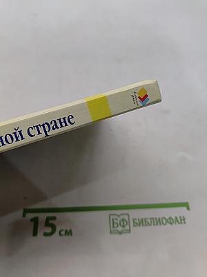 Алиса в волшебной стране