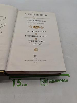 Сочинения в трех томах. Том III. Евгений Онегин. Романы и повести. Путешествие в Арзрум