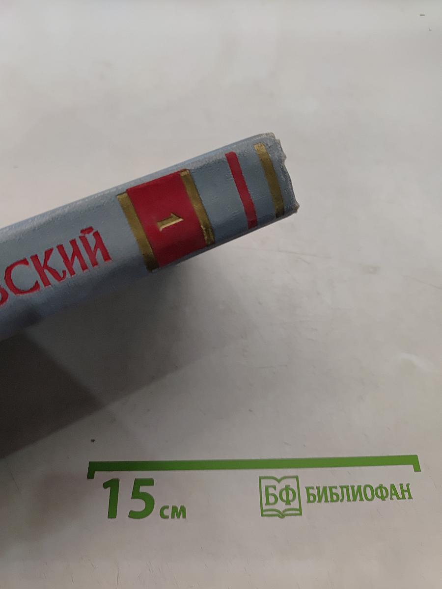 Стихотворения. Том первый