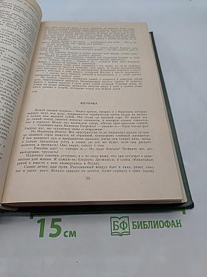Сочинения в двух томах. Том 1. Повести и рассказы 1880-1894