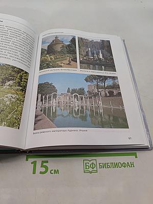 Изобразительное искусство. 6 класс