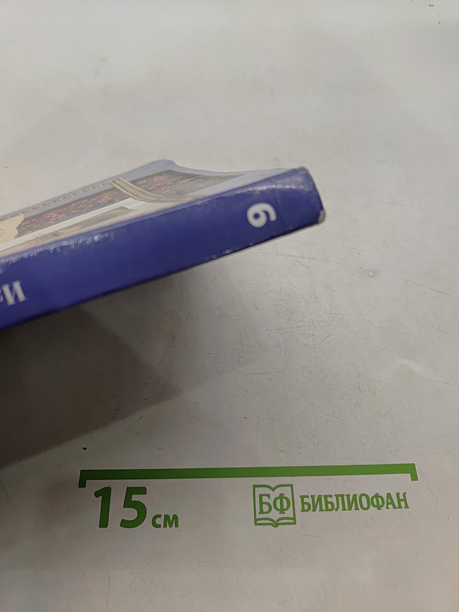 Изобразительное искусство. 6 класс