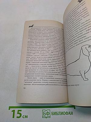 Такса. Экстерьер