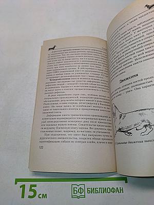 Такса. Экстерьер