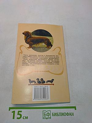 Такса. Экстерьер