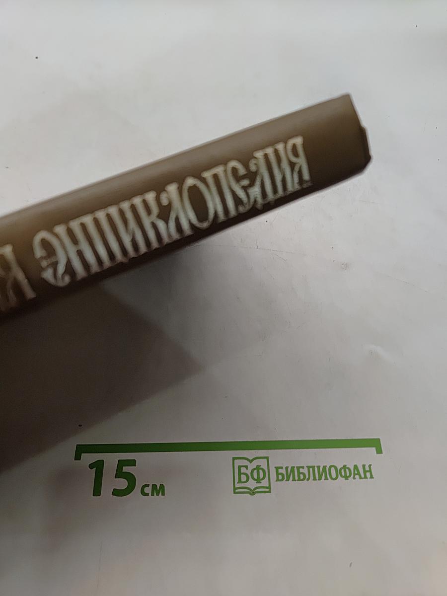 Библейская энциклопедия. Том 2