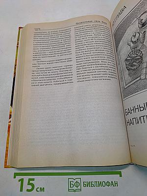 Бани и сауны: Энциклопедия здоровья