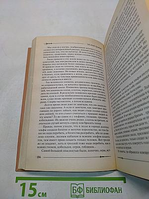 Ричард. Длинные руки – воин Господа