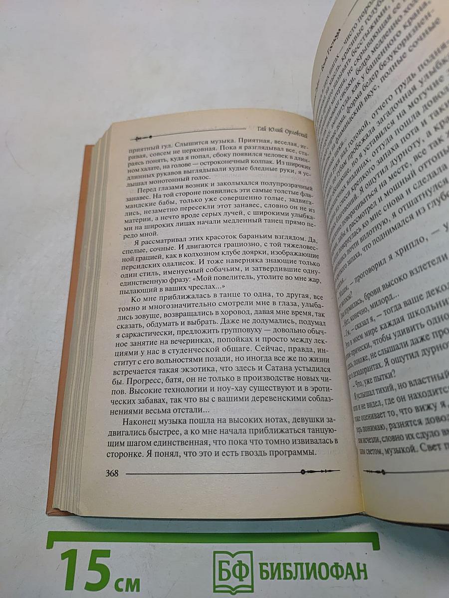 Ричард. Длинные руки – воин Господа