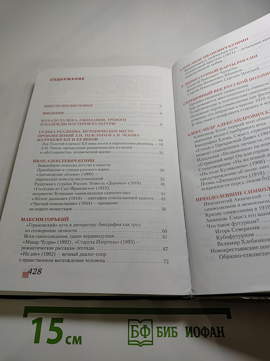 Литература. 11 класс. Часть I. Базовый уровень.