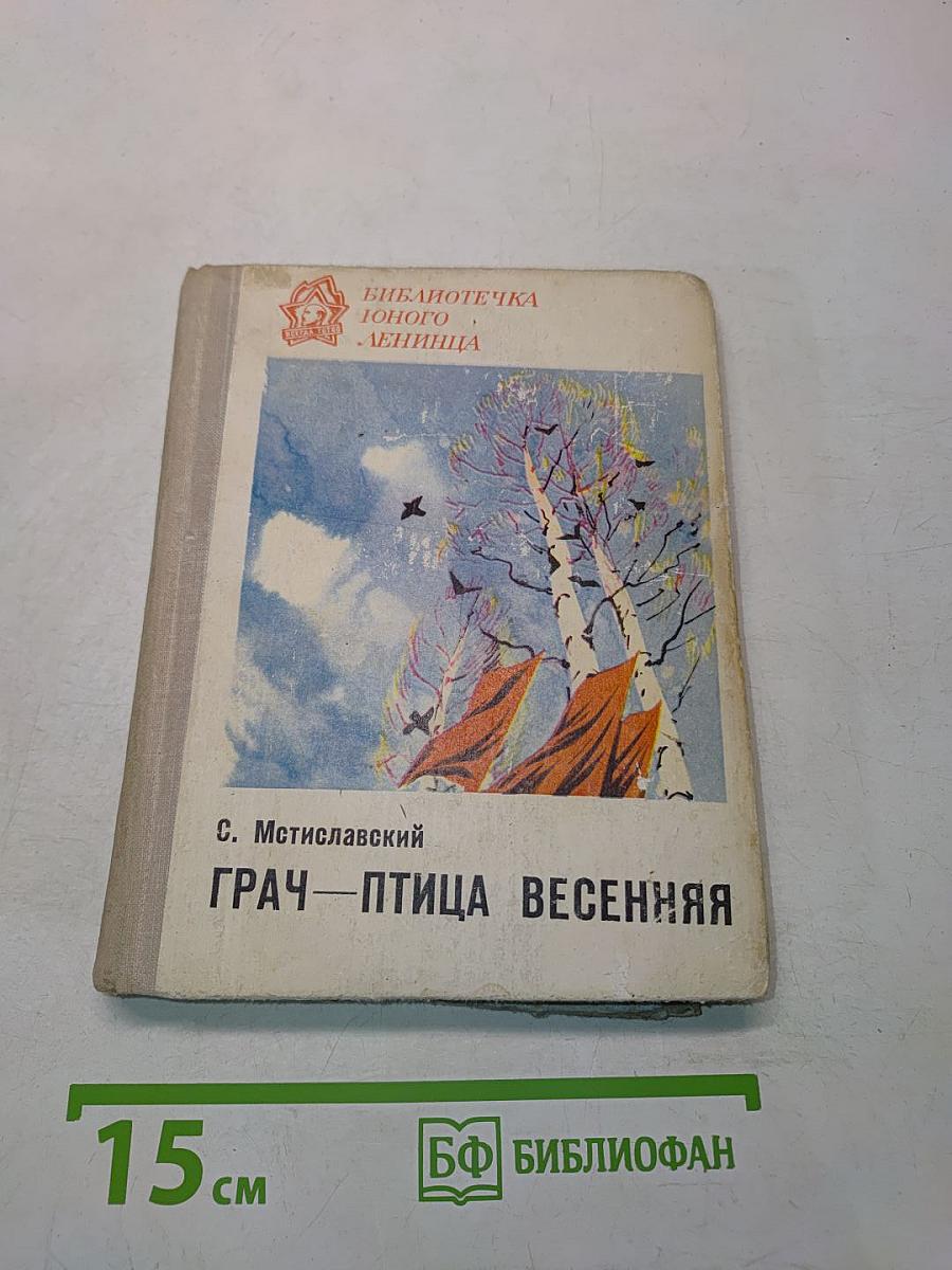 Грач — птица весенняя