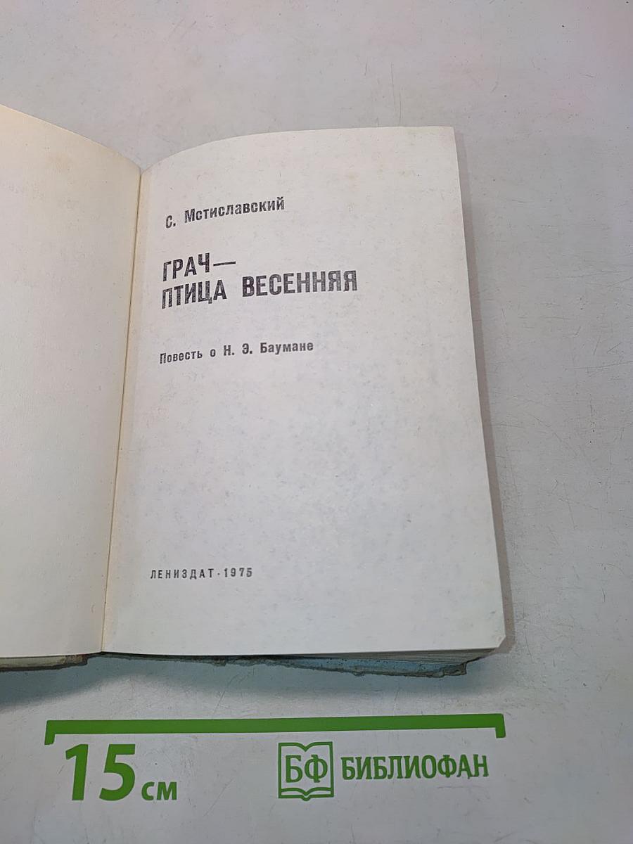 Грач — птица весенняя