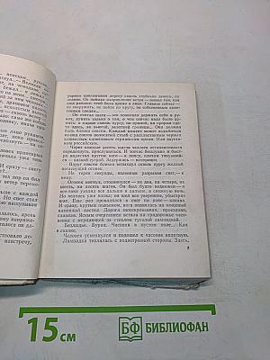Грач — птица весенняя