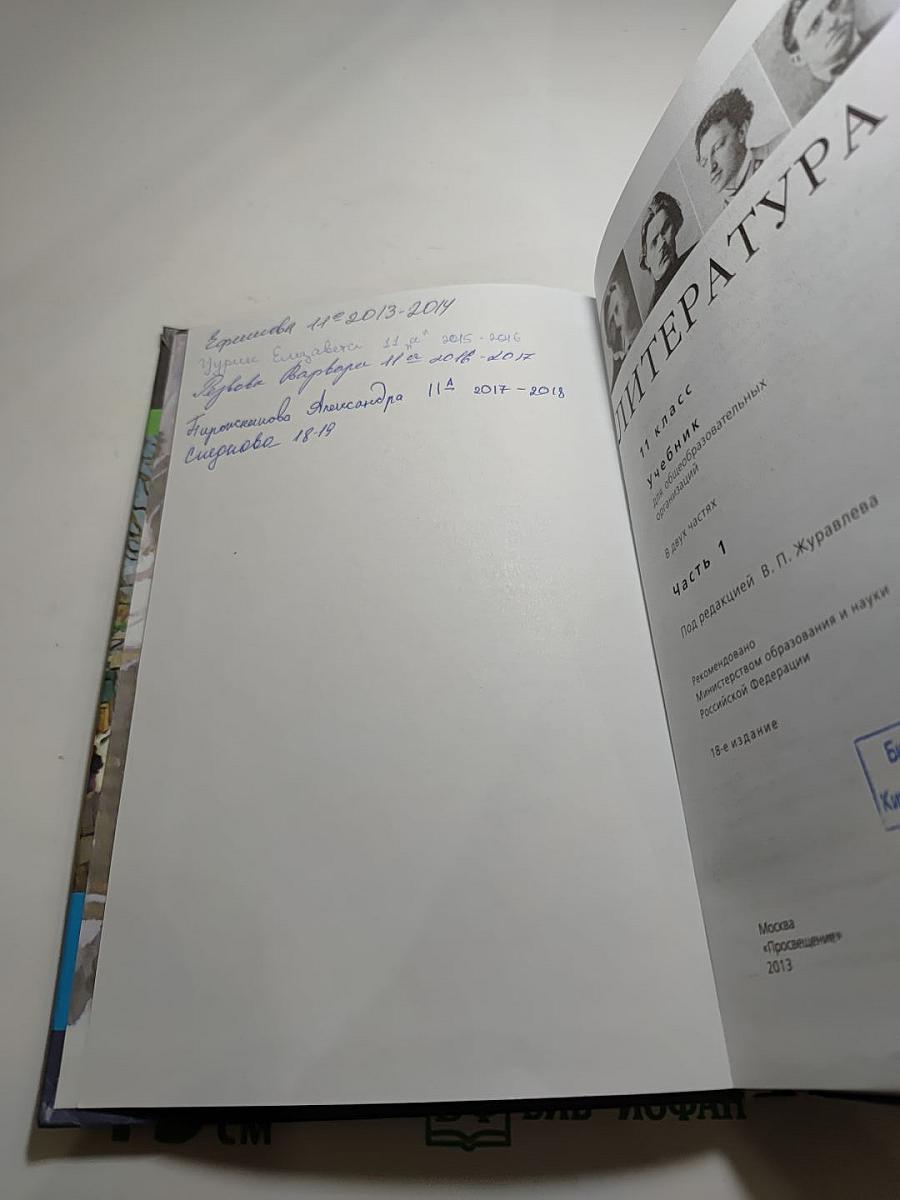 Литература. 11 класс. Часть 1