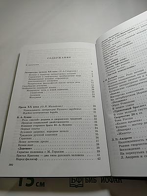 Литература. 11 класс. Часть 1