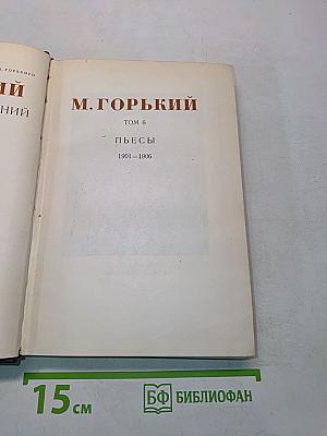 Пьесы. Том 6. 1901-1906