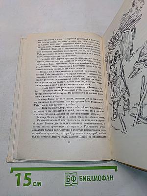 Каркаджу