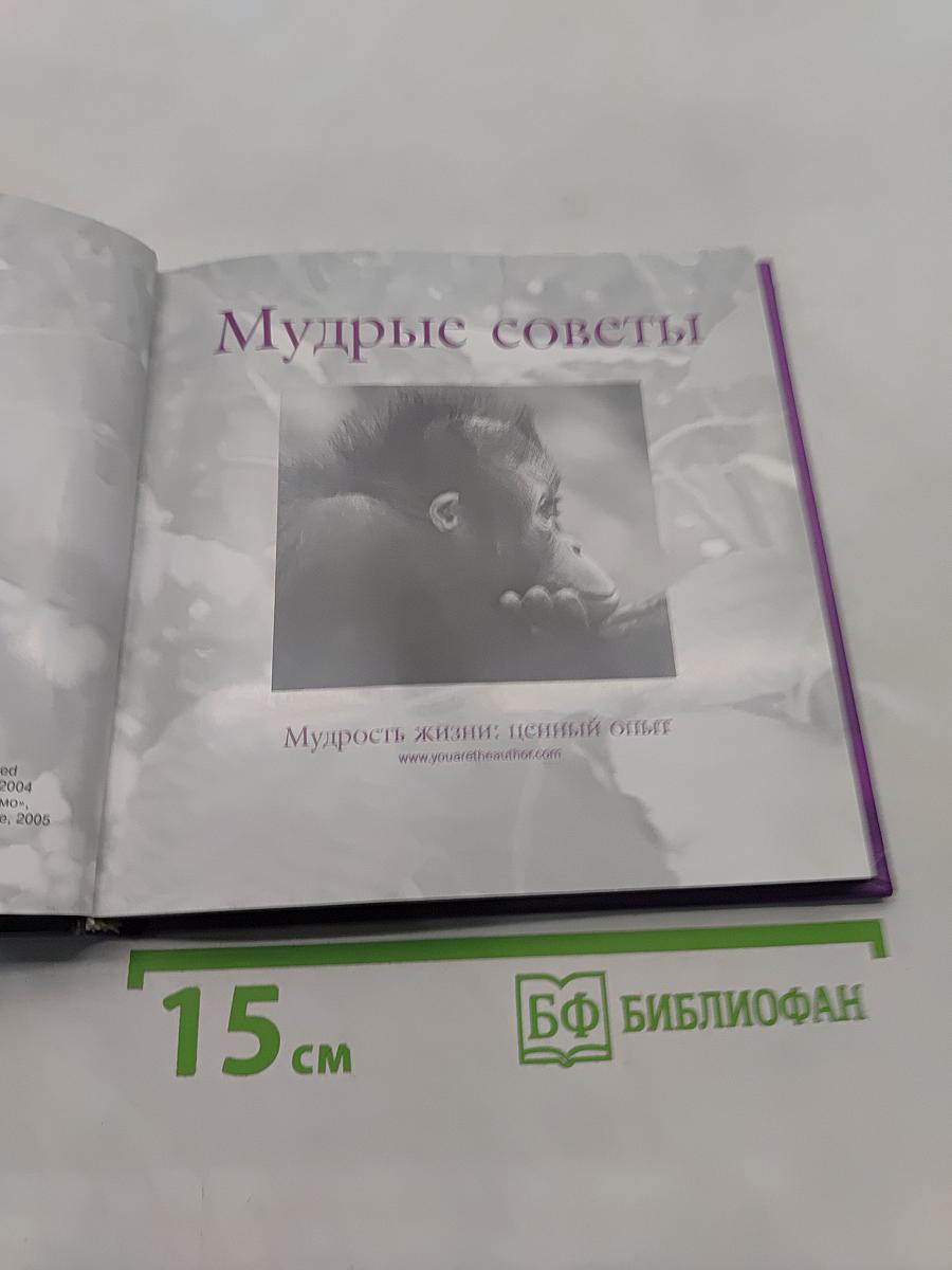 Мудрые советы. Мудрость жизни: ценный опыт