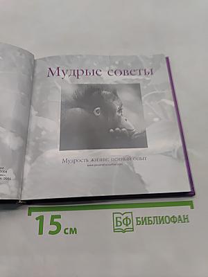 Мудрые советы. Мудрость жизни: ценный опыт