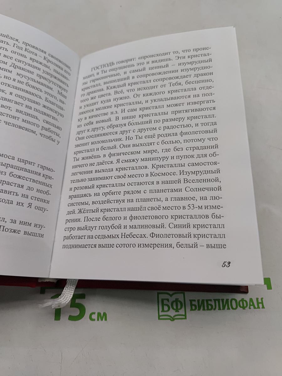 Новая жизнь. Часть 2
