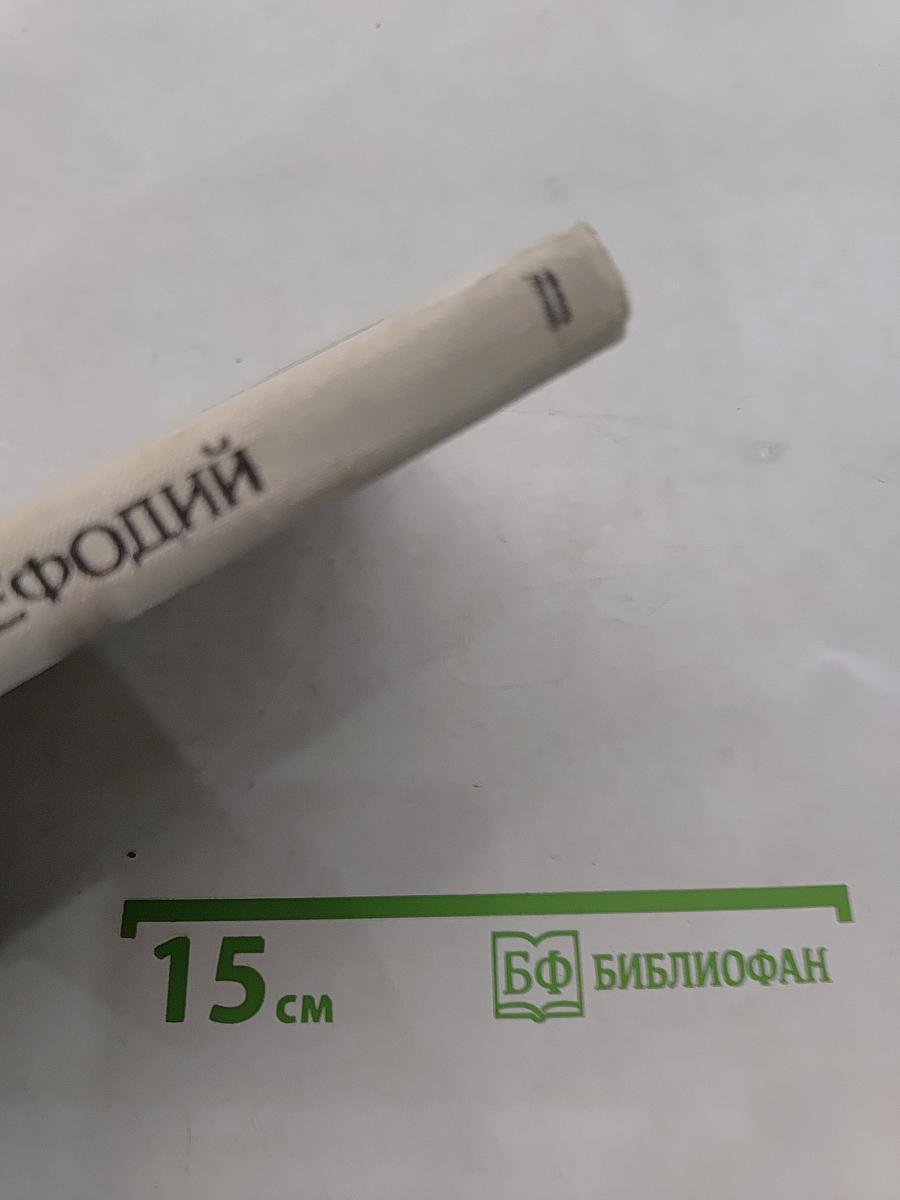 Братья