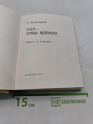 Грач — птица весенняя