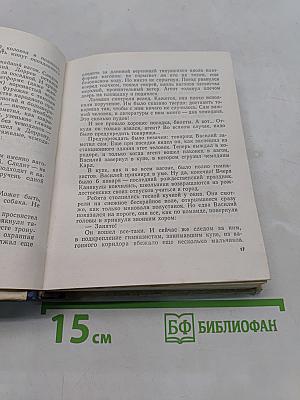Грач — птица весенняя