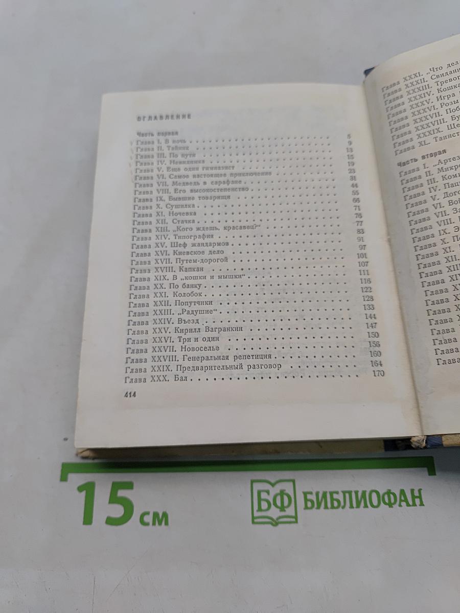 Грач — птица весенняя