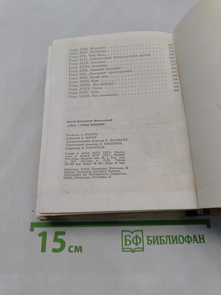 Грач — птица весенняя
