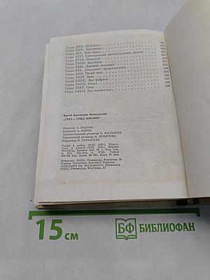 Грач — птица весенняя