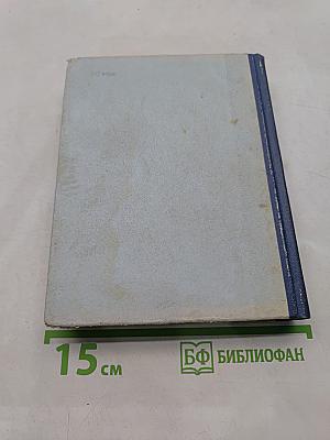 Грач — птица весенняя
