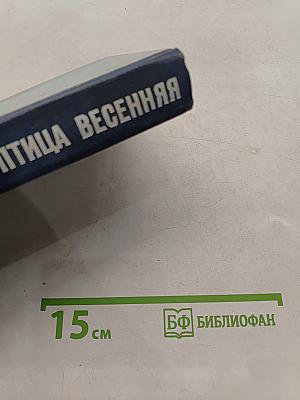 Грач — птица весенняя