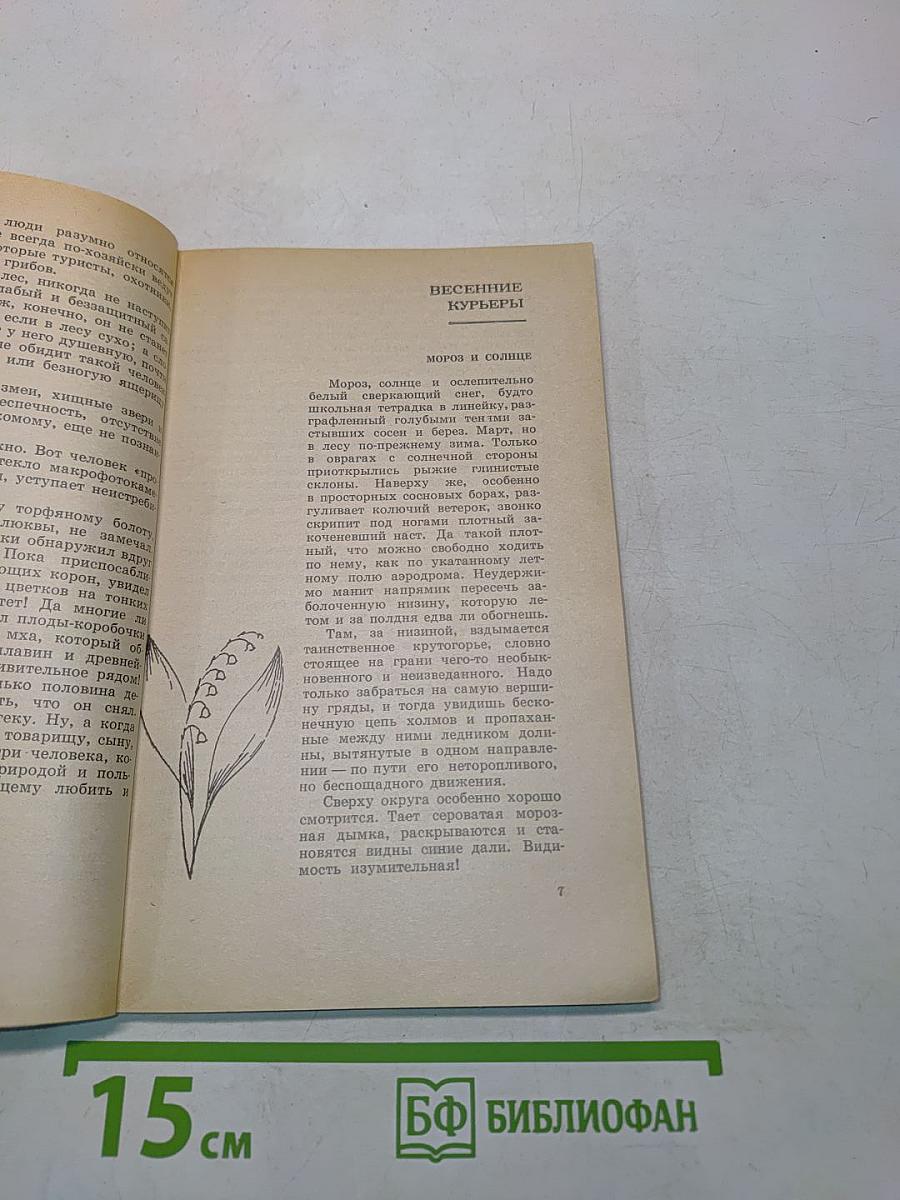 Наедине с природой