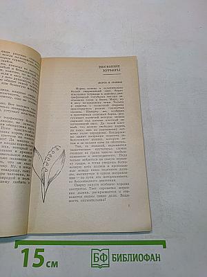 Наедине с природой