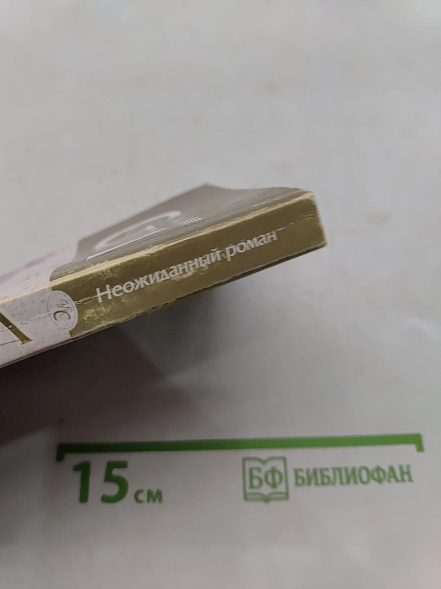 Неожиданный роман
