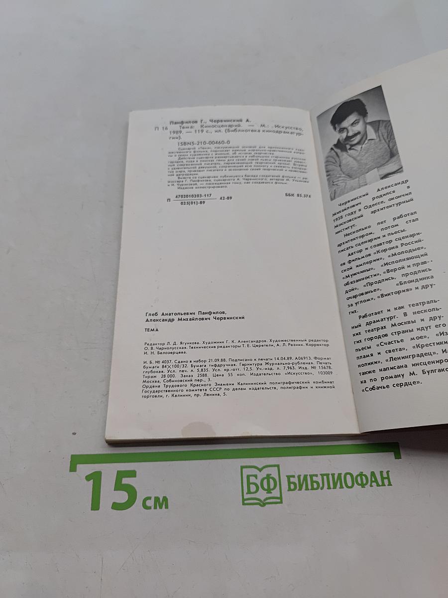 Тема. Киносценарий