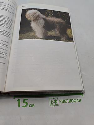 Атлас пород собак