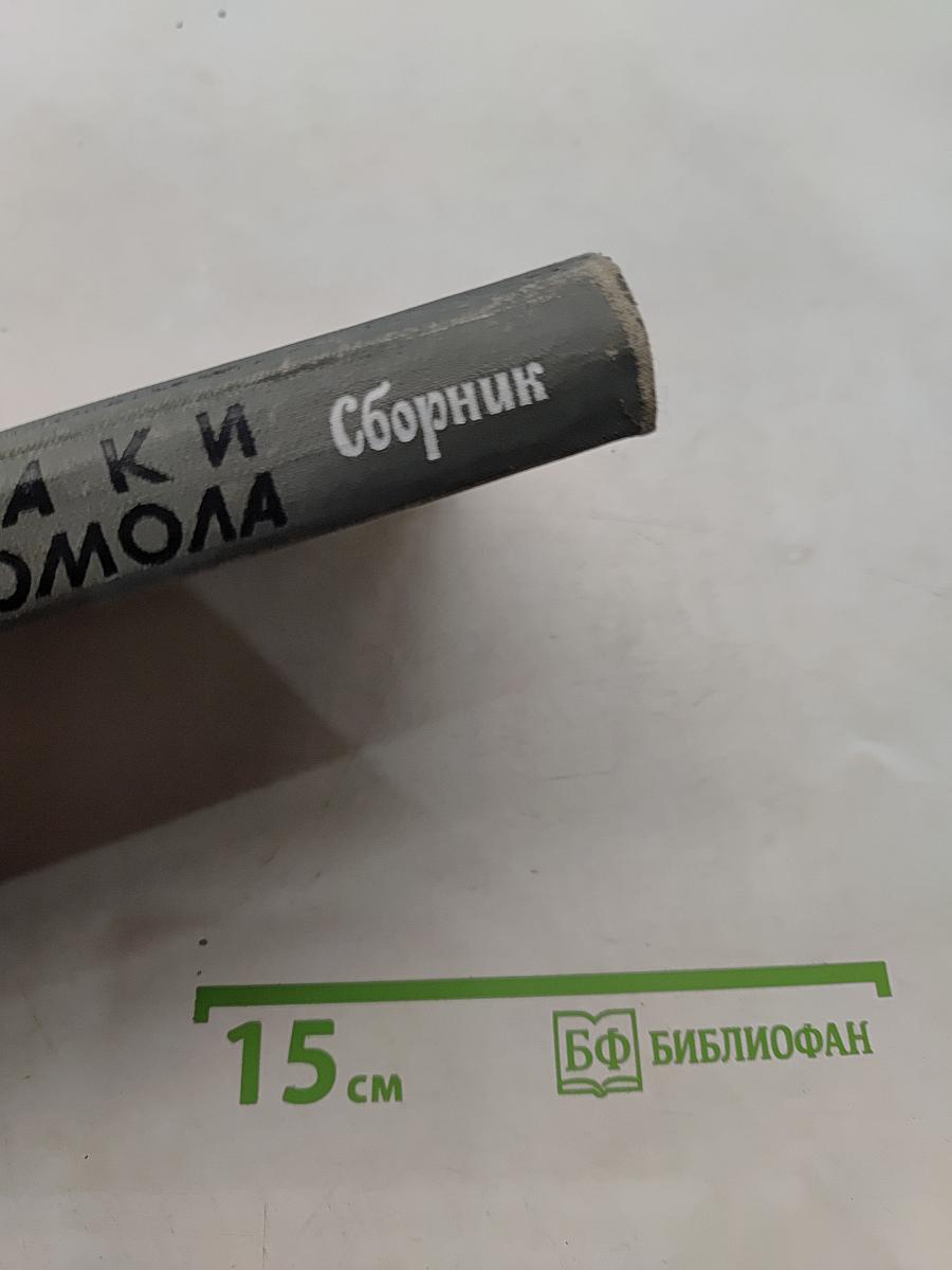 Вожаки комсомола. Сборник. Жизнь замечательных людей