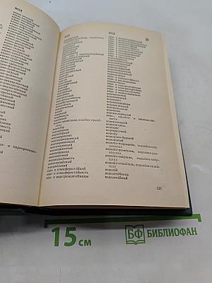 Слитно или раздельно? Опыт словаря-справочника