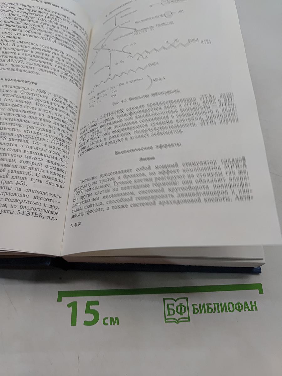 Физиология обмена веществ и эндокринной системы. Вводный курс