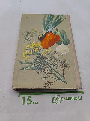 Овощи - родник здоровья