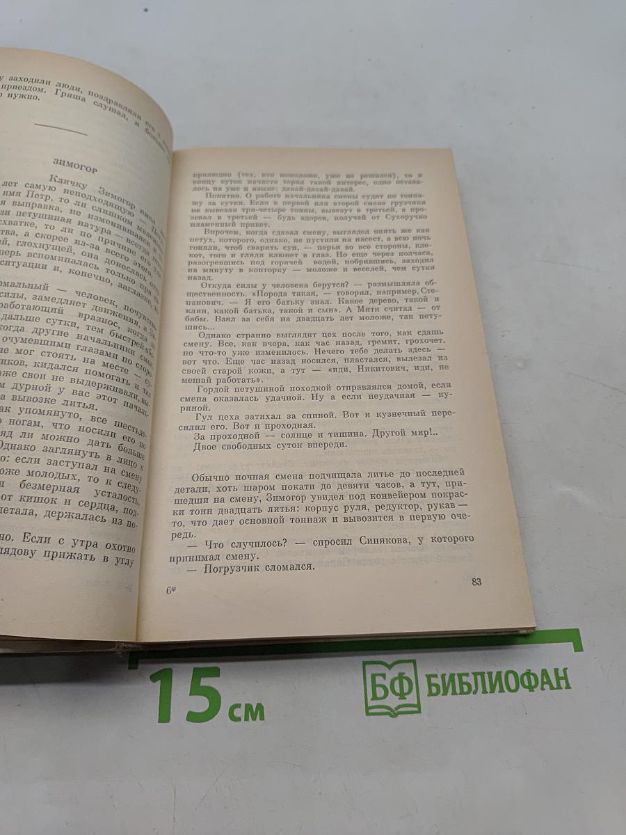 По обе стороны проходной